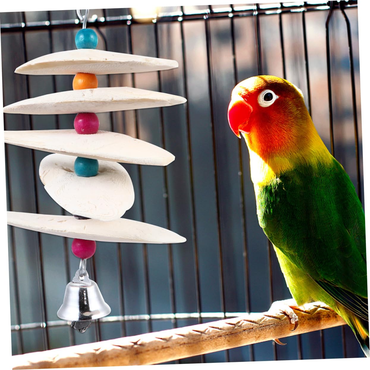 Angoily 6pièces à Mâcher De Seiche pour Oiseaux Complément De Jouet Amusant pour Perroquets Et Oiseaux Résistant Mastication Couleur Aléatoire Petite