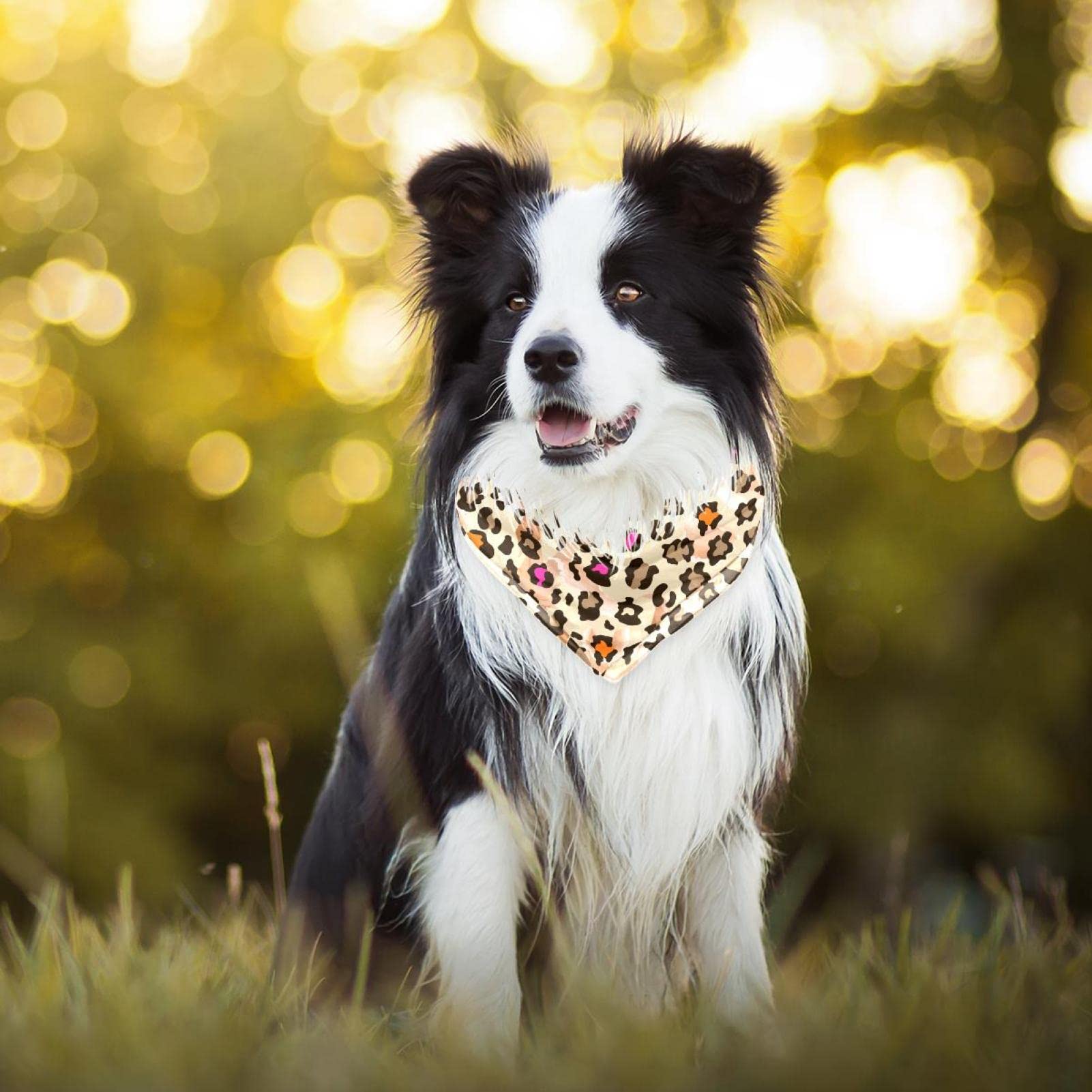 IOHGbo 2 STKS Hond Bandana Wasbare Hoofddoeken Sjaals Driehoek Slabbetjes Verstelbare Accessoires Voor Kleine Tot Grote Honden Katten Huisdieren Puppies Dinosaurussen Schedel
