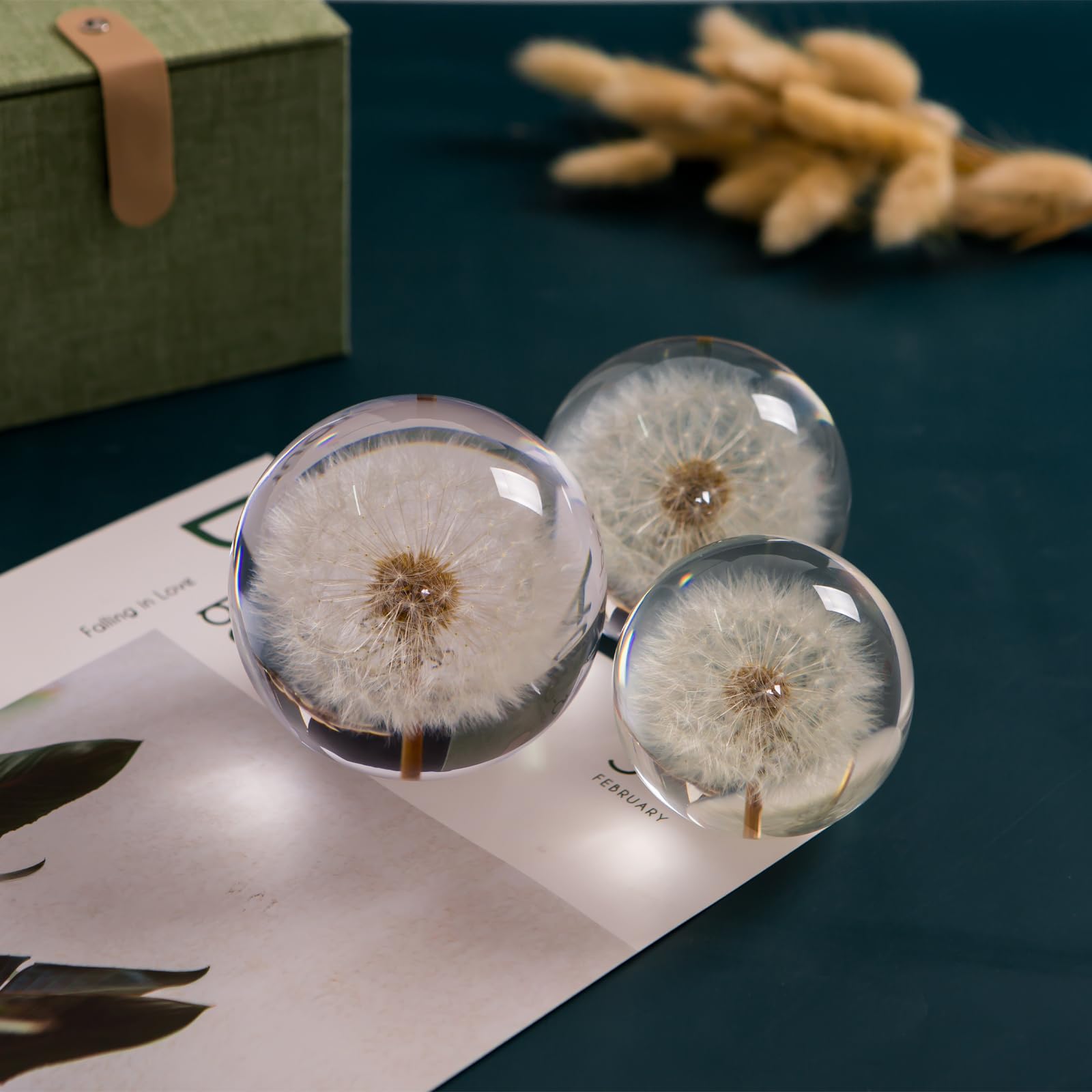 Briefbeschwerer Pusteblume Traumball Kristall Wunschball Einzigartiger Briefbeschwerer aus Pusteblume Geschenk für Frauen Männer (Mama, Papa, Lehrer), Geburtstag, Hochzeit, Valentinstag, Mutter (9 cm)