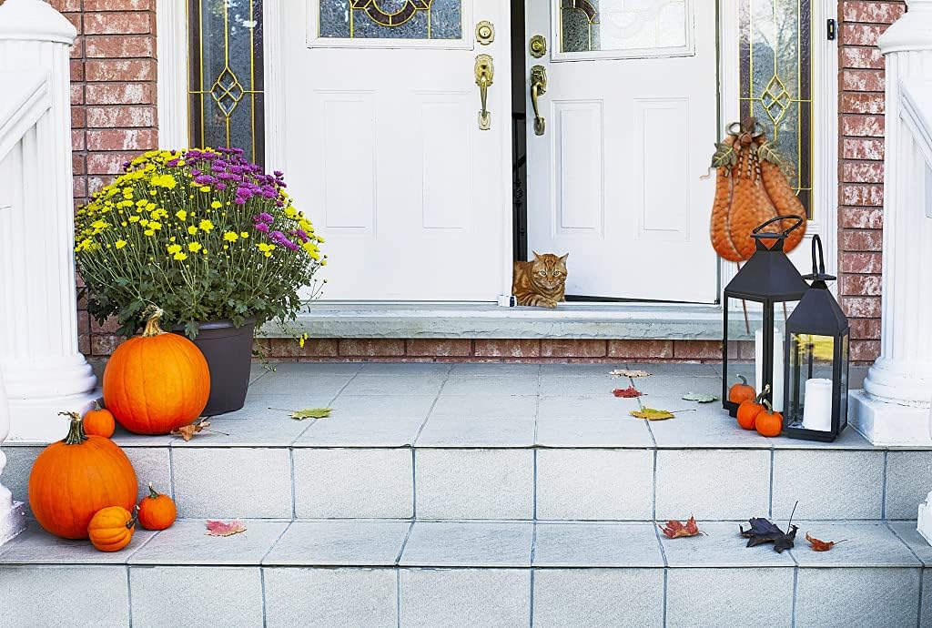 Morning View Pumpkin Garden Stakes Metal Yard Sign Fall Decor Outdoor Autumn Yard Stake Art Pumpkin Lawn Ornaments for Patio Porch Thanksgiving Halloween Harvest 20 Inches Tall Set of 2