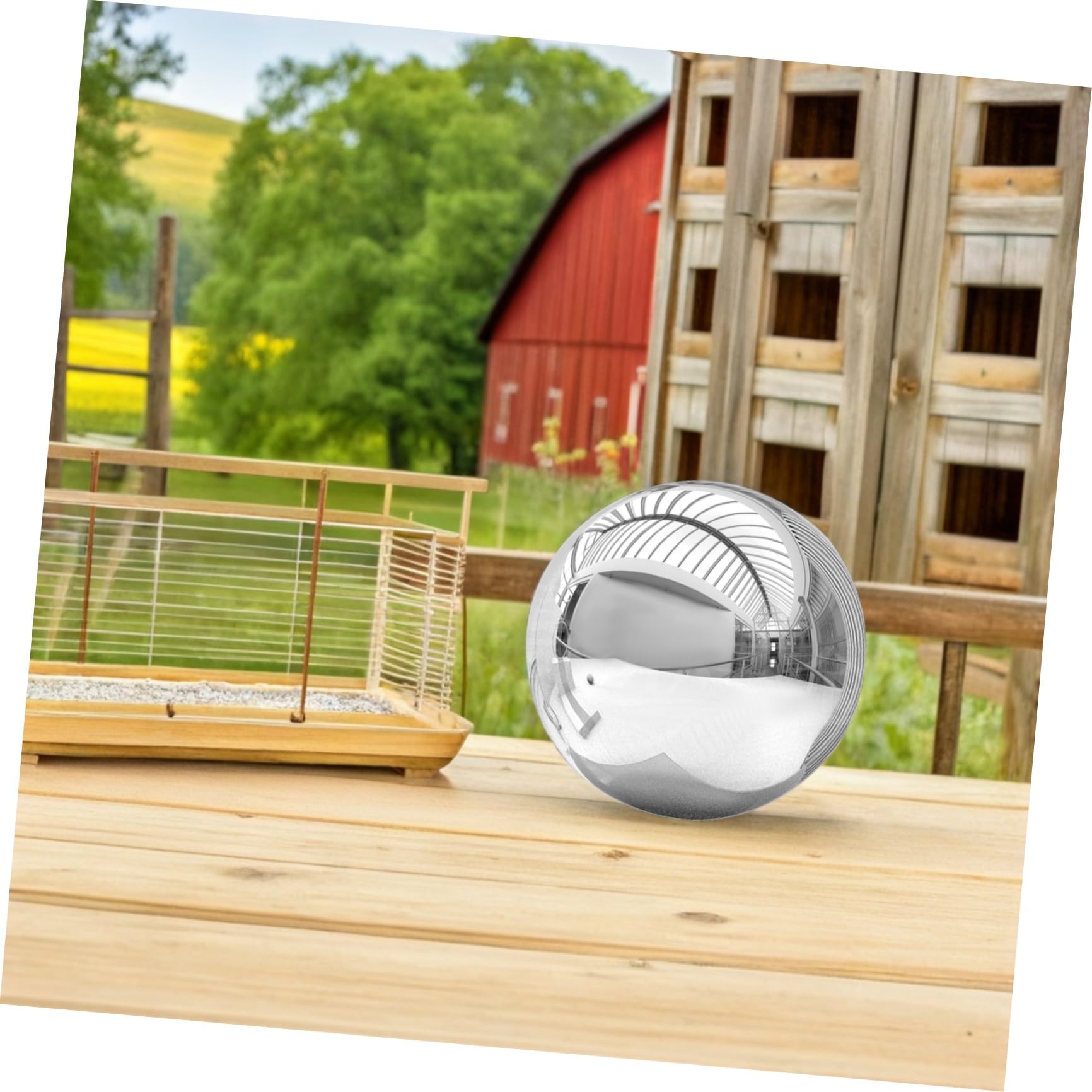 Sfera Riflettente in Acciaio Inox per Giardino e Cortile
