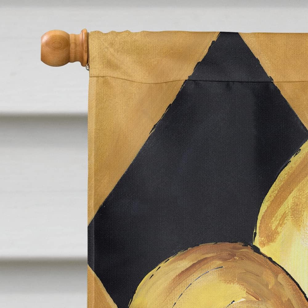 Caroline's Treasures 8125CHF Black and Gold Fleur de lis New Orleans House Flag Large Porch Sleeve Pole Decorative Outside Yard Banner Artwork Wall Hanging, Polyester, House Size, Multicolor
