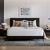 Avenco Materasso 160x190, Materasso Matrimoniale Molle Insacchettate Supporto Personalizzato Mediamente Solido