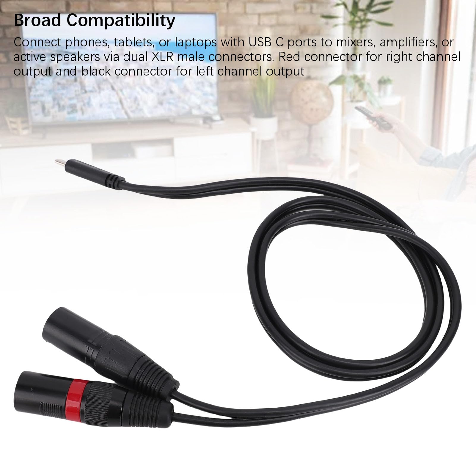 Jectse Kabel Męski USB C do XLR, 6,6 Stóp Y Dual XLR Męski Przewód dla Telefonów, Tabletek, Laptopów do Mikserów, Wzmacniaczy, Aktywnych Głośników