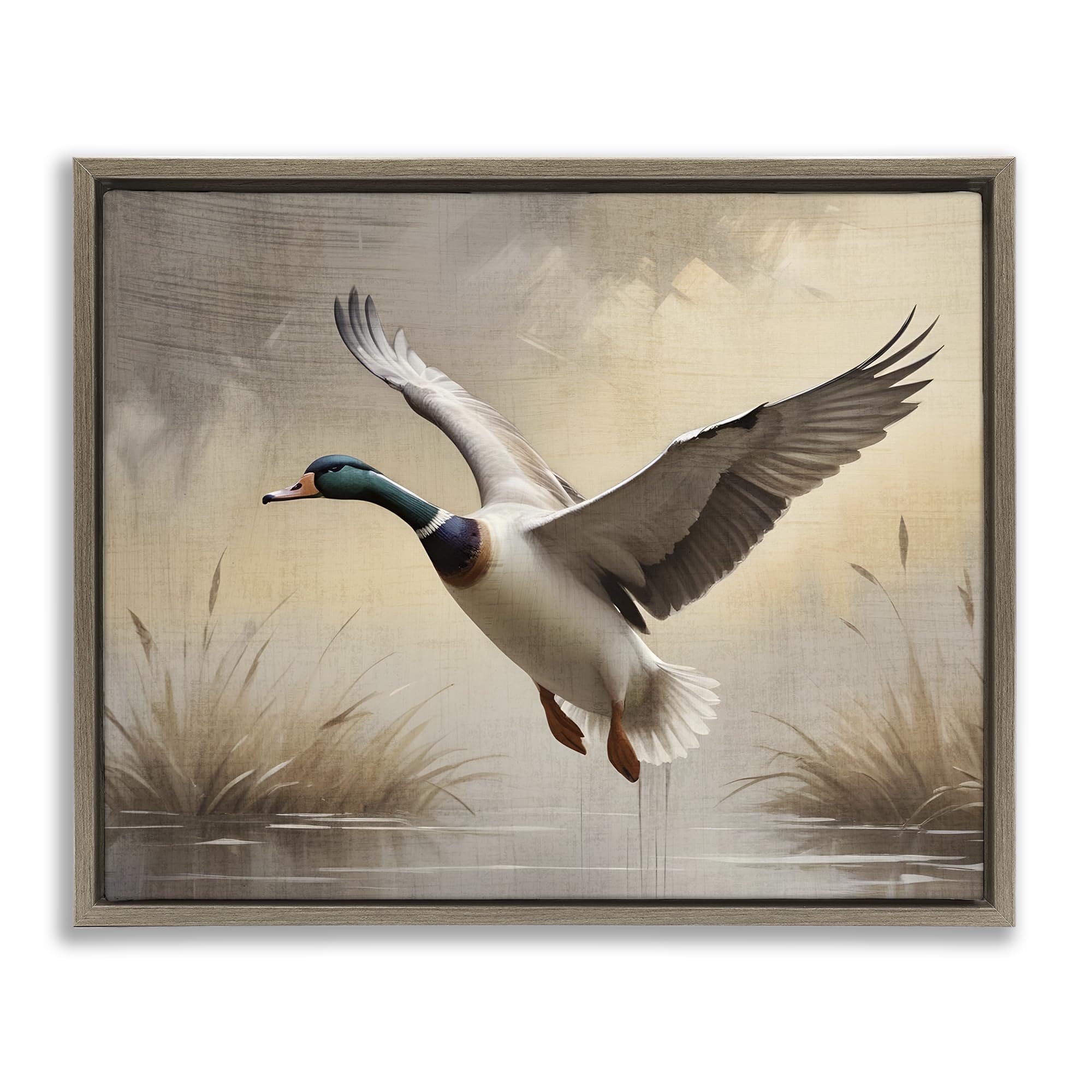Stupell Industries Montalcino Elm (Textured) 'Gliding Mallard Over Wetlands'| Floating Frame Canvas Art