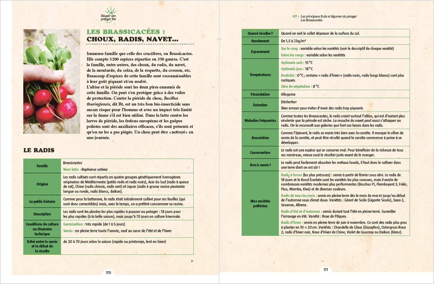 Réussir son potager bio en partant de zéro – Calendrier des cultures mois par mois, fiches pratiques des légumes les plus cultivés, culture sur sol vivant, permaculture