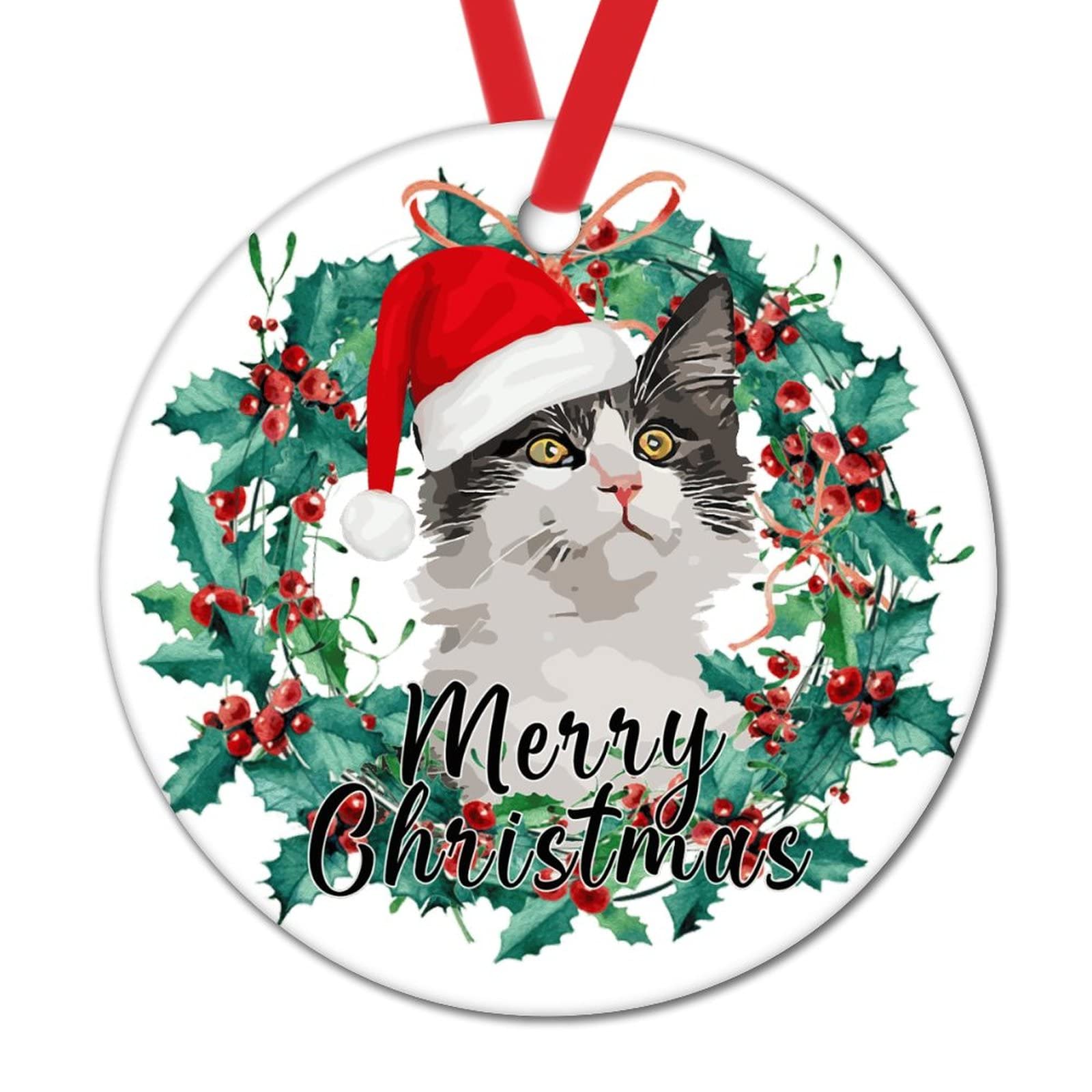 Gato Negro Con Gorro De Navidad Imágen Y Fotos - 123RF