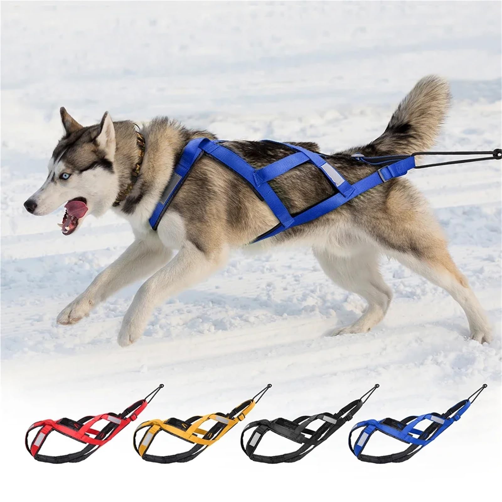 X-Back - Arnés de trineo para perros grandes, arnés de tracción de peso para canicross Skijoring y Scootering (K,XL)