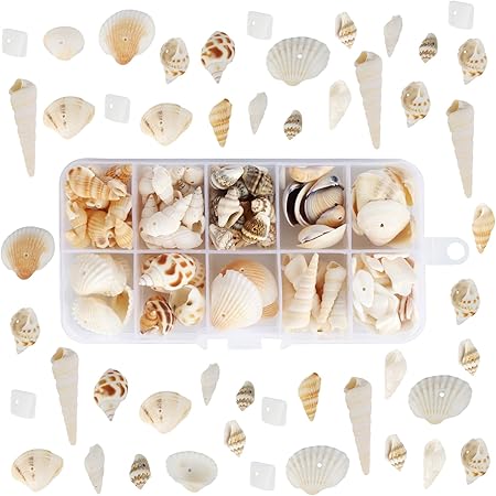 HDHGXUJRD Sea Shells, 150PCS+ Mixed Shell Conch, Natural Conch Shell ...