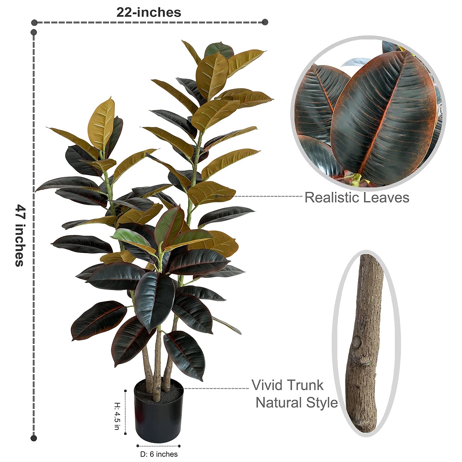 Are Rubber Plants Safe For Dogs