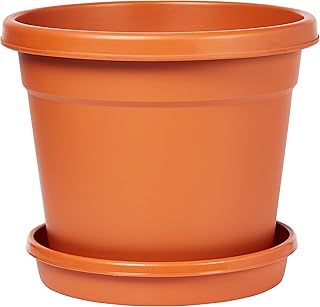 Cosmoplast Plastic Round Flowerpot