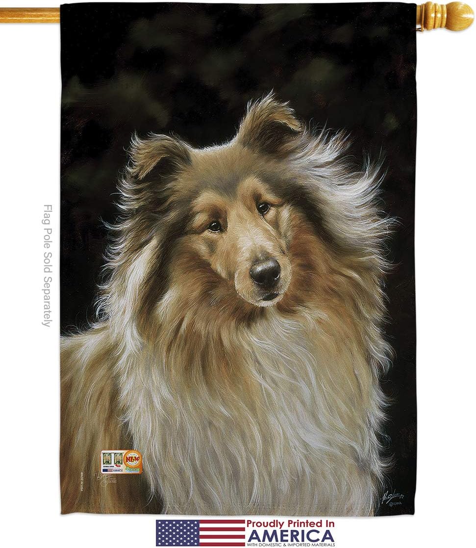 Dog Collie Garden House Flags Set Animals Puppy Spoiled Paw Canine Fur Pet Nature Farm Animal Creature Small Decorative Gift Yard Banner Made In USA 28 X 40