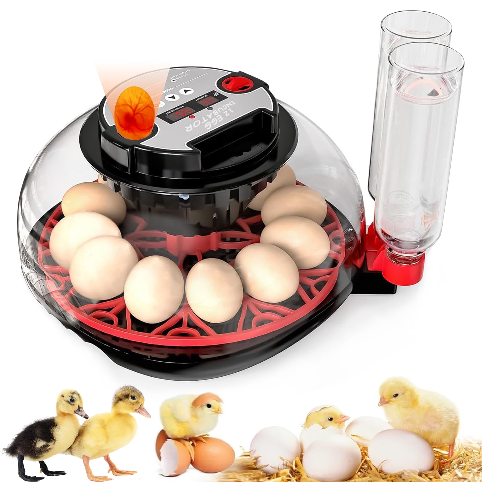 Incubator with Automatic Egg Turning and Humidity Control, Incubators for Hatching Eggs, Chicken, Ducks, Goose, Pigeon, Quail, Parrot Incubator for Farm, Lab, Science Classroom, Home