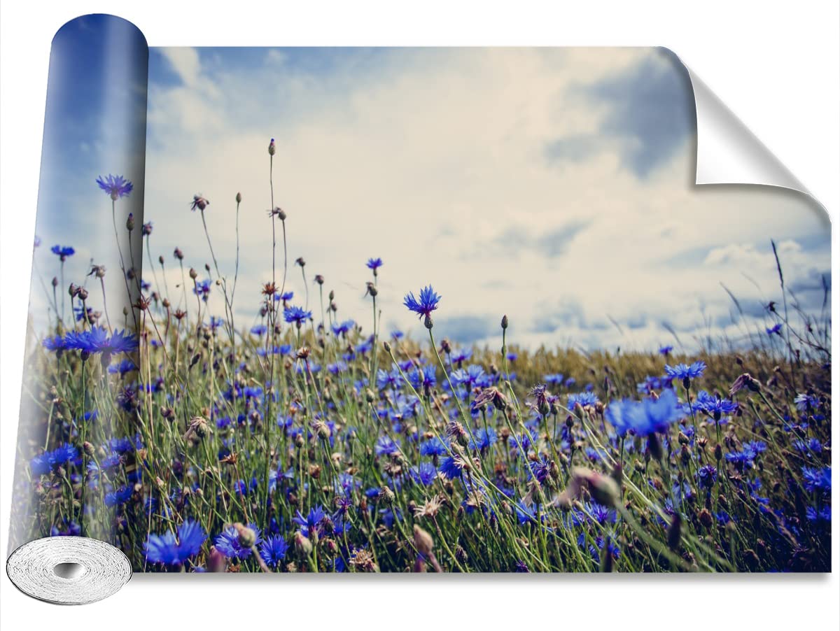 Stickers Muraux Camouflage Bleuet : Créez la Chambre de ses Rêves 250x104
