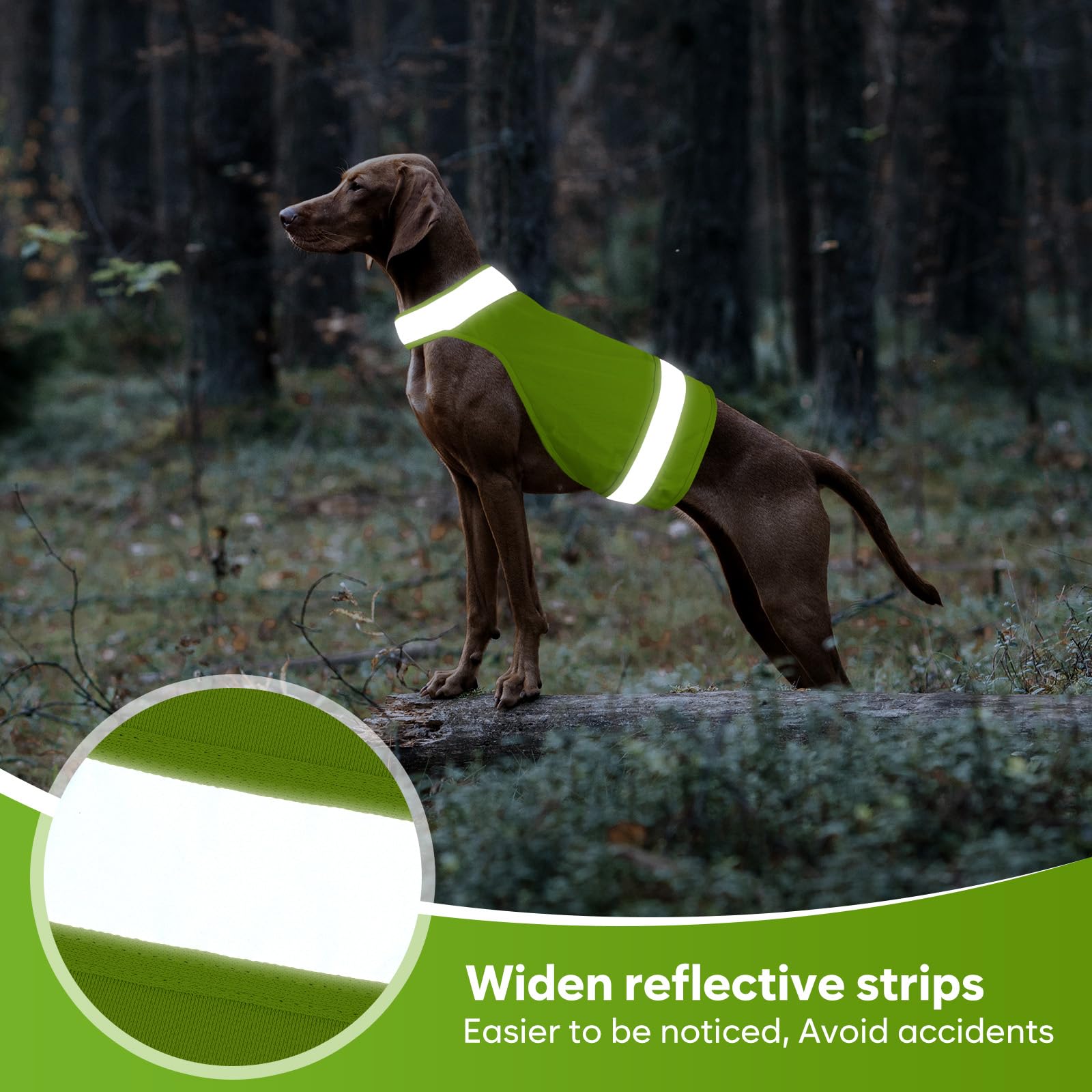 2 gilet di sicurezza per cani, gilet fluorescente da caccia per cani, mantiene i cani al sicuro da auto e incidenti di caccia, cappotto riflettente per cani per passeggiate notturne