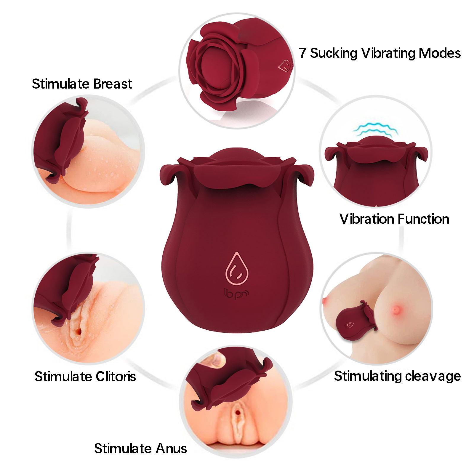 Watch Rose Toy for Women on Amazon Live