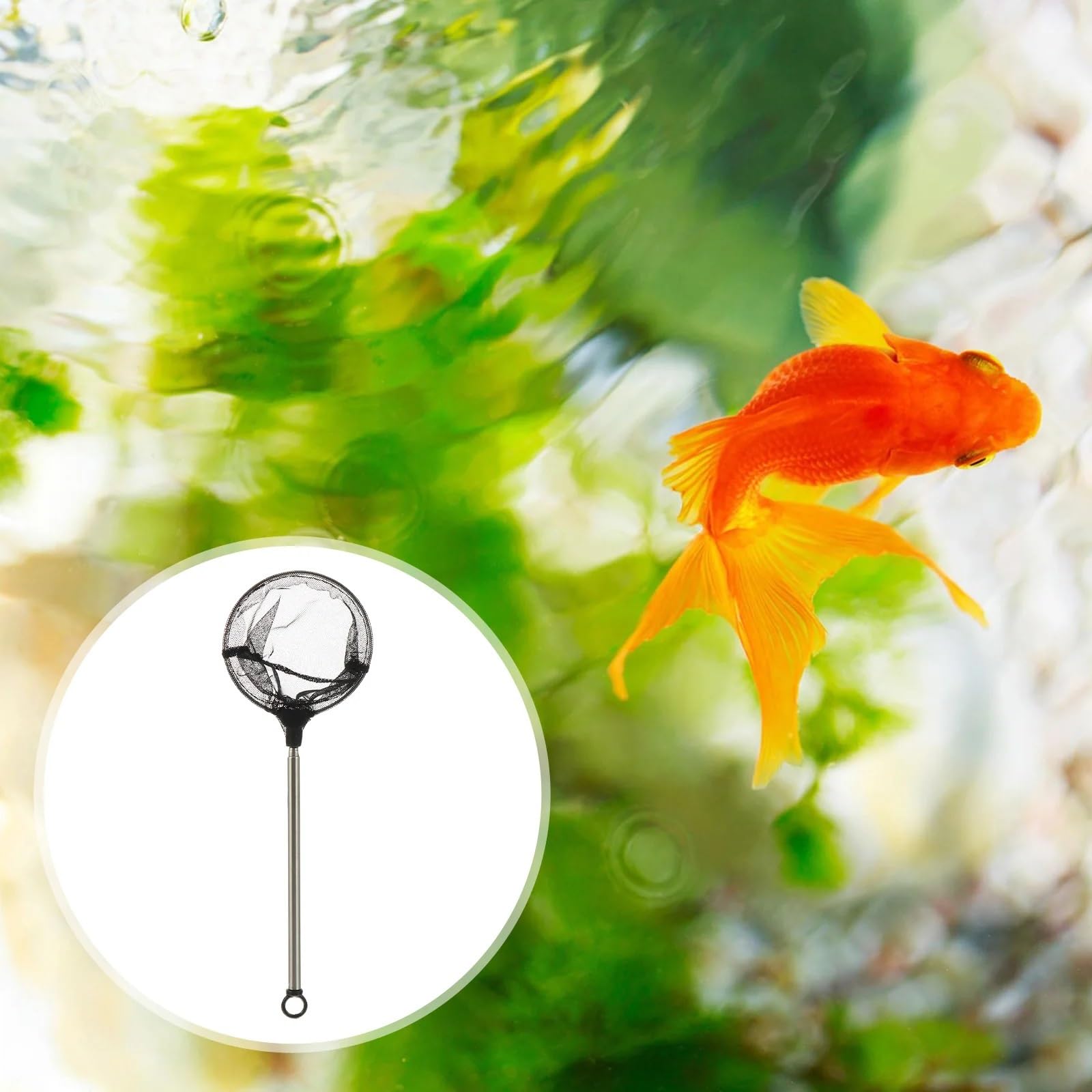 Teleskop Fischerei Landung, Teleskop-Fischkescher, tragbares Fangfreisetzungsnetz, zusammenklappbares schwimmendes Mesh-Baumwoll-Dip-Netz, Angelbedarf, Fischernetz