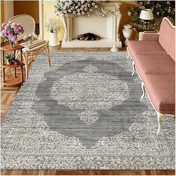 Area Rugs for Living Room, Large Bedroom Carpet Non Slip Low Pile Ultra Soft Carpets Washable for Living Room, Bedroom, Dining Room Under Table S 5x8ft