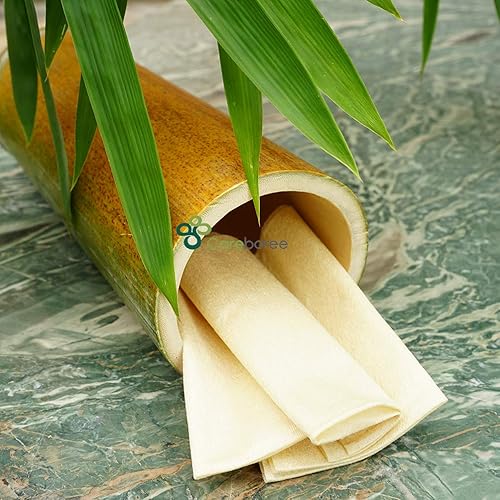 Miniatura 5 de 300 toallitas secas careboree sin blanquear para bebé, sin perfume, multiuso de tejido de algodón