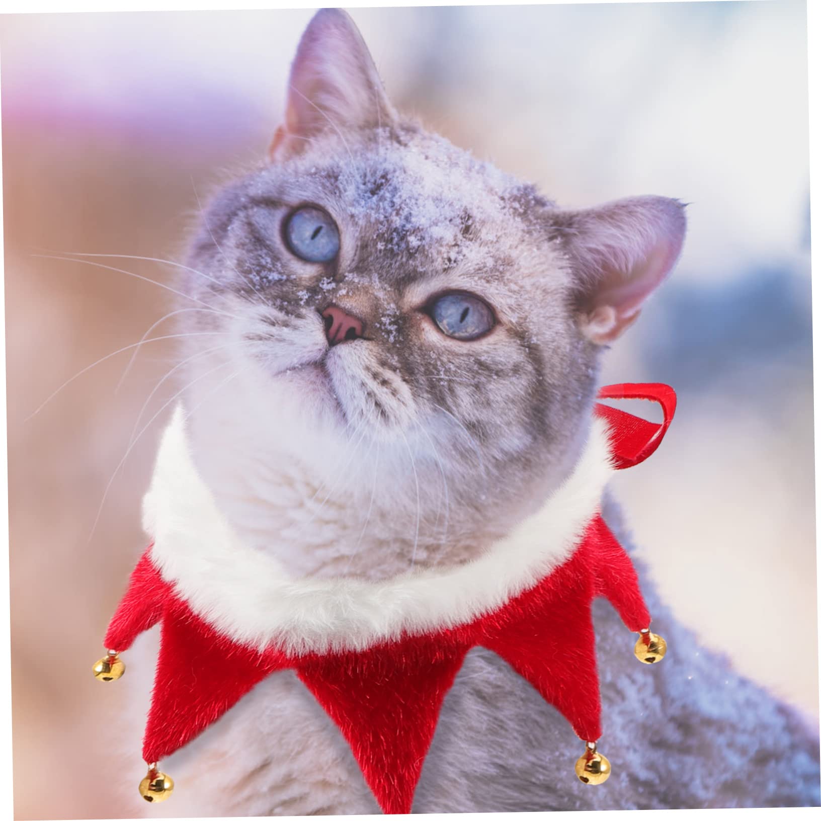 HANABASS Collier de Noël Ajustable avec Grelot pour Chien et Chat Design Festif et Confortable