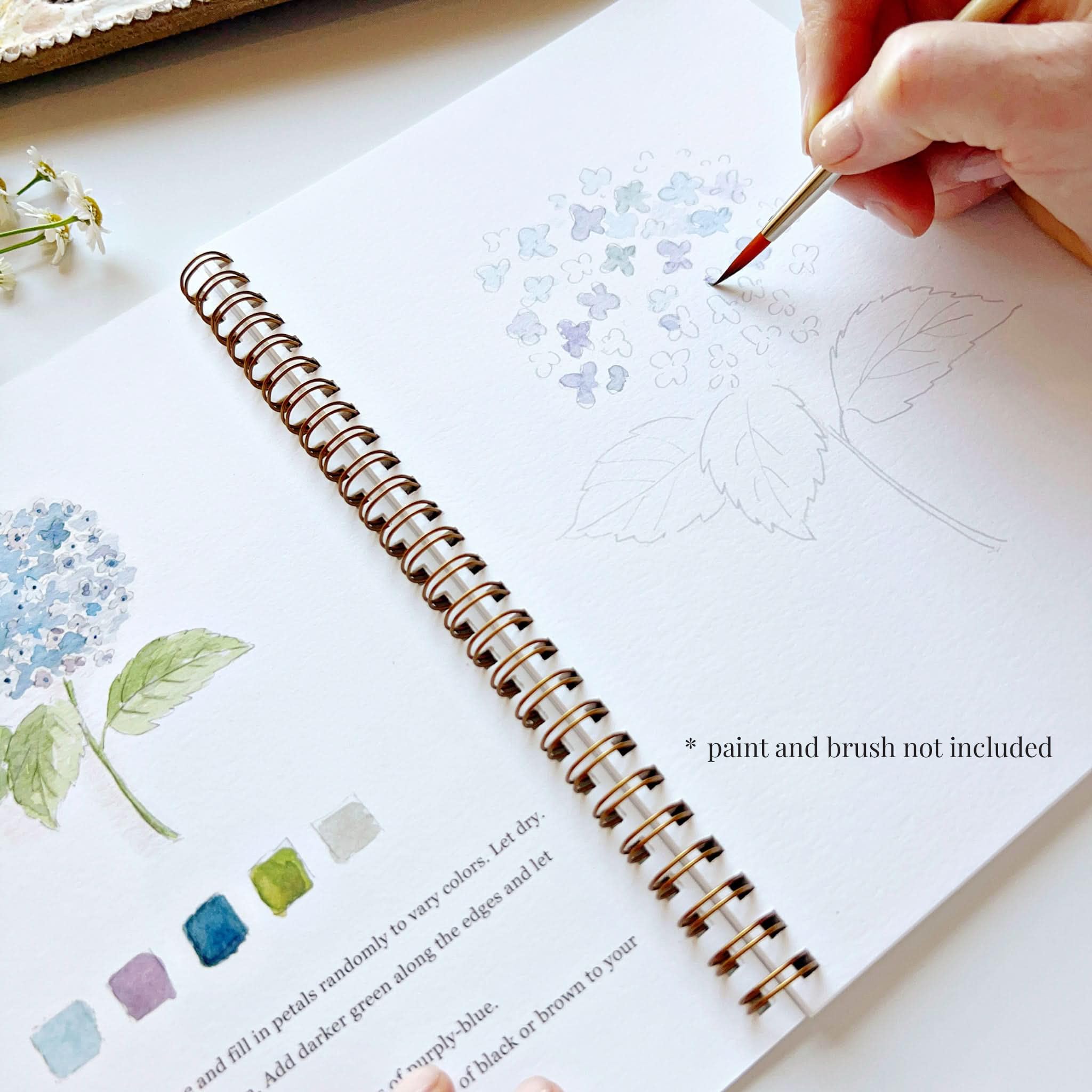 Emily Lex Studio Aquarell-Arbeitsbuch mit Blumen, 12 anfängerfreundliche skizzierte Illustrationen, flache Spiralseiten, 16,5 x 22,9 cm, 54,4 kg Aquarellpapier
