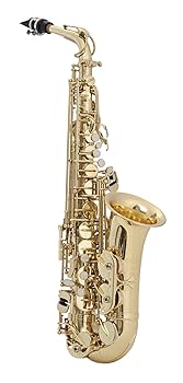 SELMER （SELES） AXOS Ａ．SAX GL WE アルトサックス Amazon.com: Prelude Student Model AS711 Alto Saxophone by