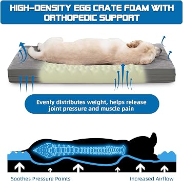 Orthopedic Dog Bed for Small Dogs 73×45×7cm – 4-Season Dual-Sided Pet Mattress with Plush Fleece & Cooling Surface, Waterproof, Washable & Supportive Cushion for Crates, Sofas & Floors