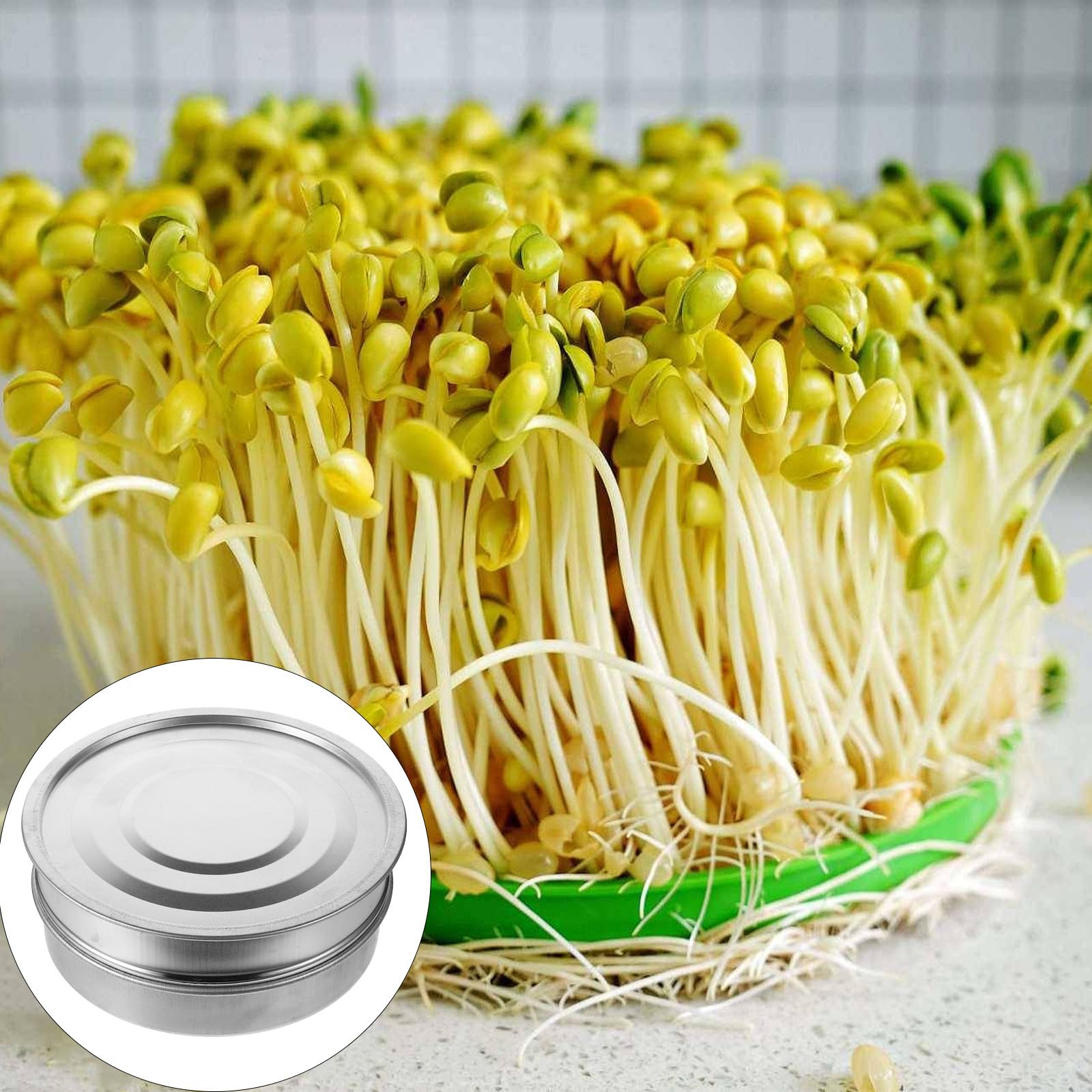 Kichvoe Juego de 3 Bandejas de Germinación de 20 Cm de Acero Inoxidable Malla de 1.25 Mm y Tapa Galvanizada, Accesorio Práctico para Germinar Plantas en Casa y Balcón, Herramienta