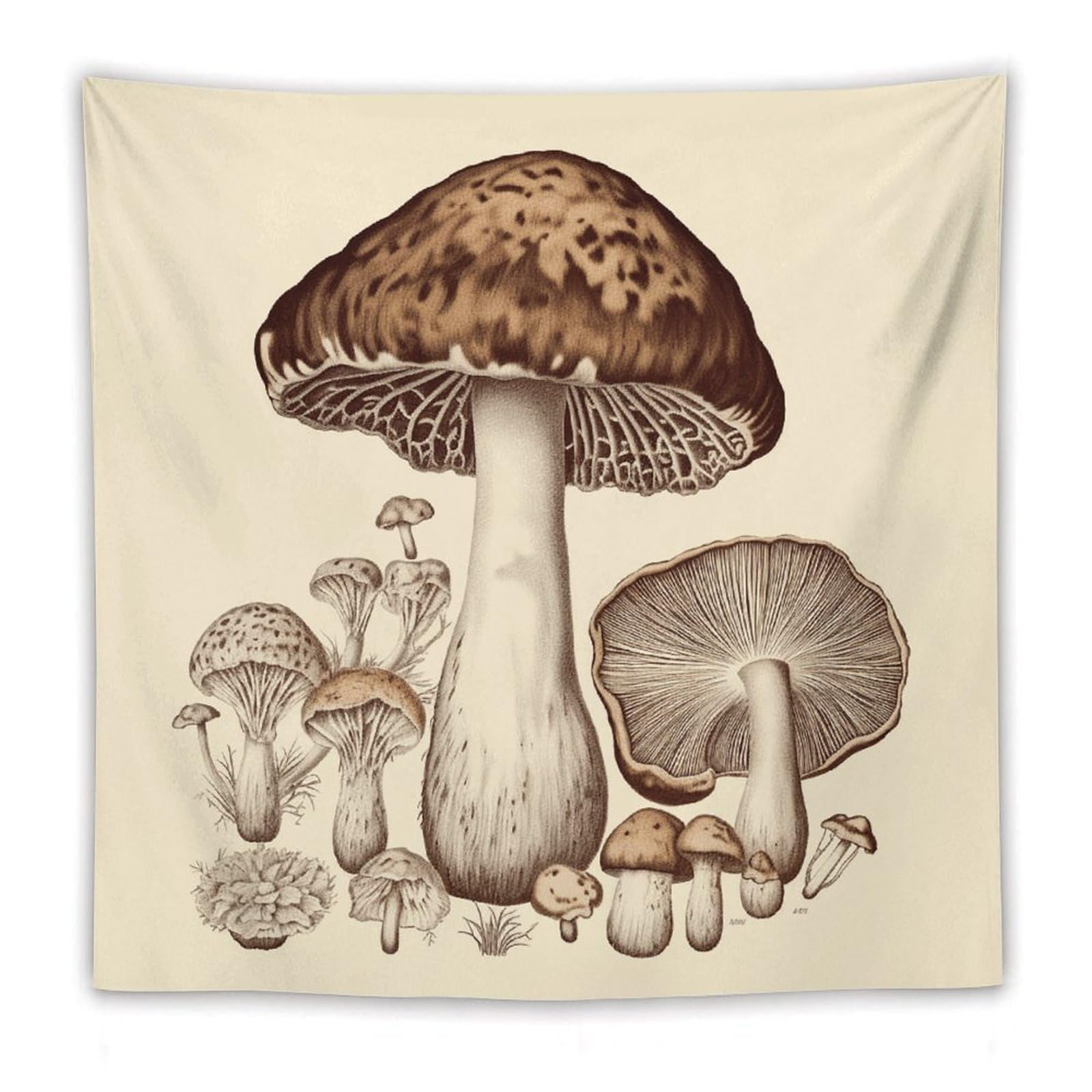 LDGSUPH Vintage Mushrooms Drawing Tapestry Wall Hanging Decor Anti-fading Aesthetic Wall Tapestries Fashion Wall Blanket Decor Modern Wall Art Tapestry for Bedroom Home Decor 60"x60"