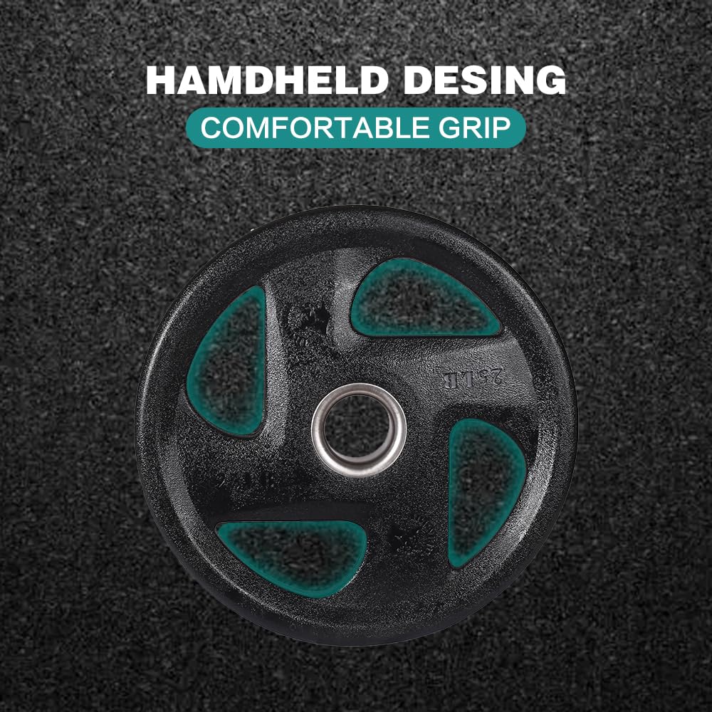 Rubber-Coated Cast Iron Counter Weights Plates Set, (10LB×2)