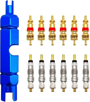 Medsuo Bicycle Valve Core Remover Tool Kit Universal Bike and Car Valve Core Repair Tightening Tool and 12pcs Valve Cores Replacement Compatible with Presta and Schrader Valve - Blue