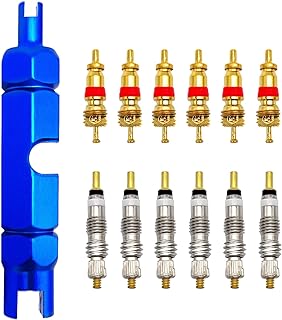 Medsuo Bicycle Valve Core Remover Tool Kit Universal Bike and Car Valve Core Repair Tightening Tool and 12pcs Valve Cores Replacement Compatible with Presta and Schrader Valve - Blue