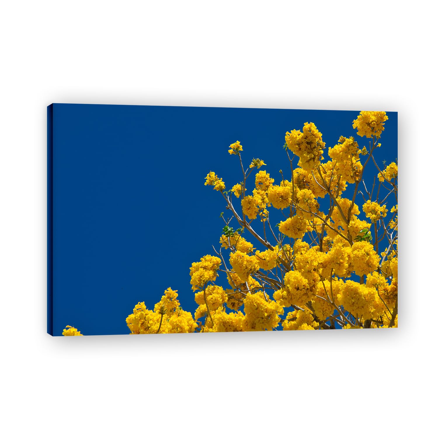 VHdfgTY Yellow And BlueSerene Mountain Landscape Canvas Wall Art Nature Wall Decor for Home 70x105cm Framed