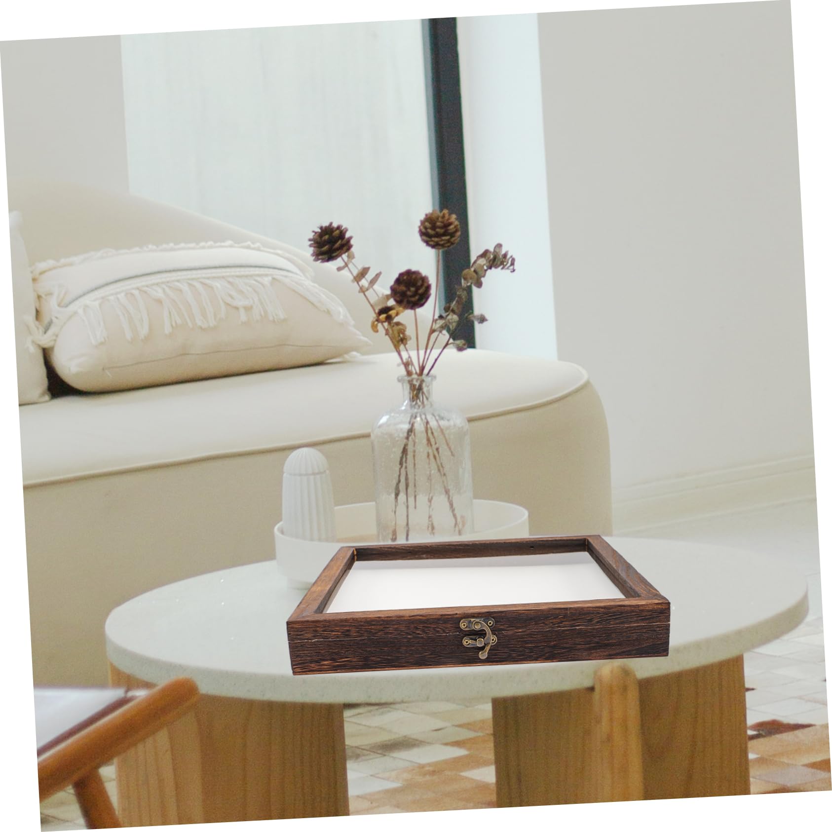 Cabilock Boîte à Spécimens pour Insectes Vitrine Rétro avec Couvercle Transparent Rangement Multifonctionnel pour Objets de Collection Caisse