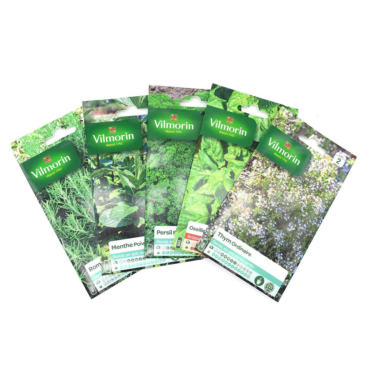 Graines aromatiques pack de 5 sachets de thym persil menthe et romarin pour jardin