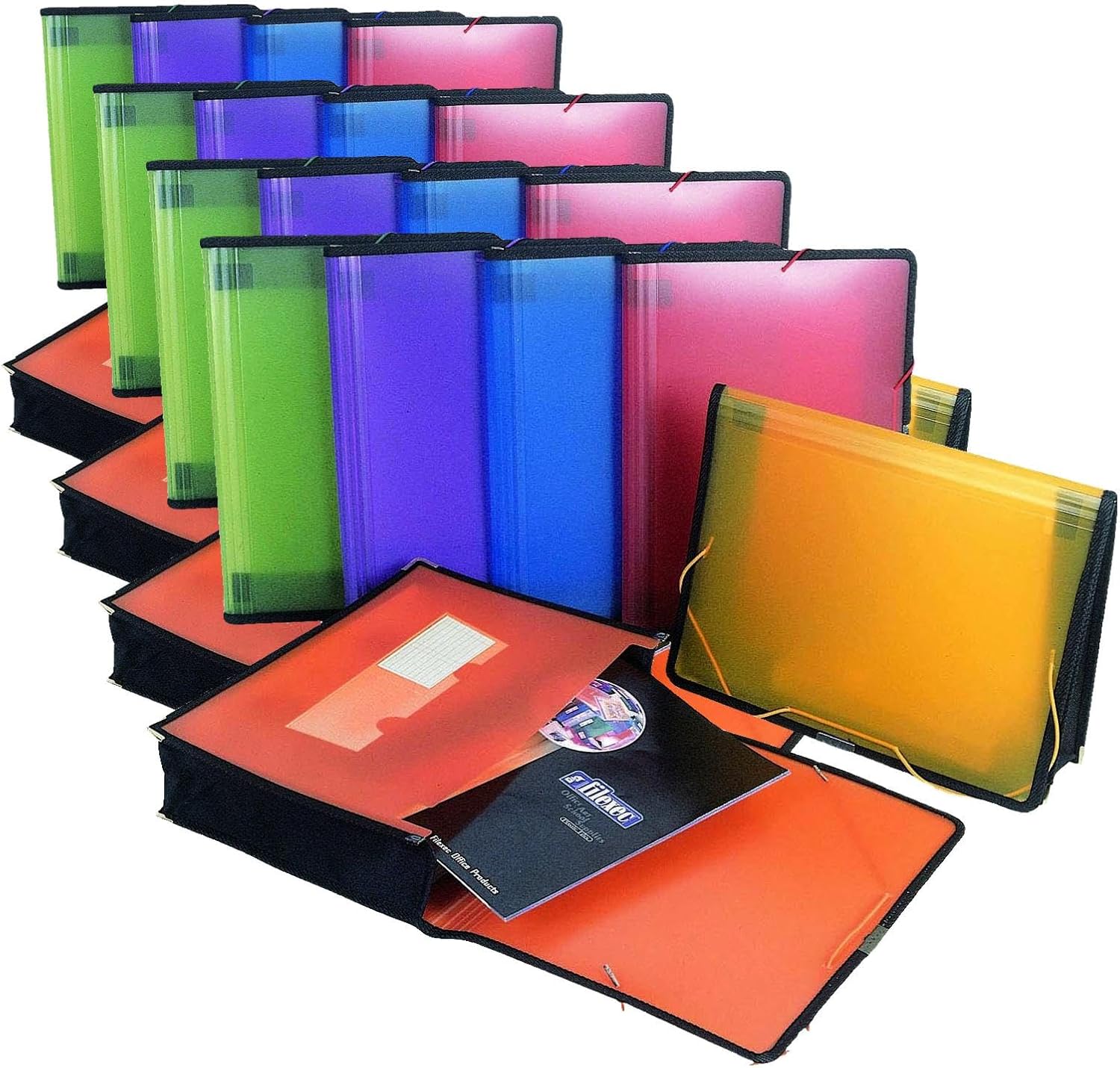 Filexec Single Pocket Expanding File, Letter, Elastic Closure, Assorted, Pack of 6 (50125-3429)