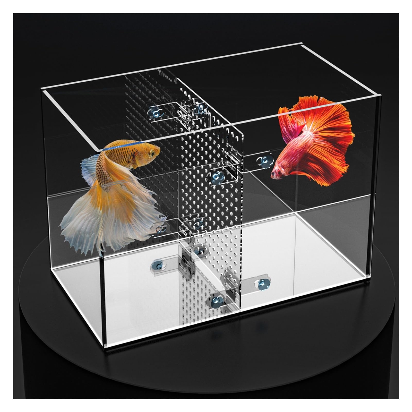 Divisor De Acrílico para Acuario, 3/4/5/6/8/10/12mm De Espesor Placa De Aislamiento con Ventosas Divisor para Caja De Cría De Peces para Cría Mixta(8mm Thick)
