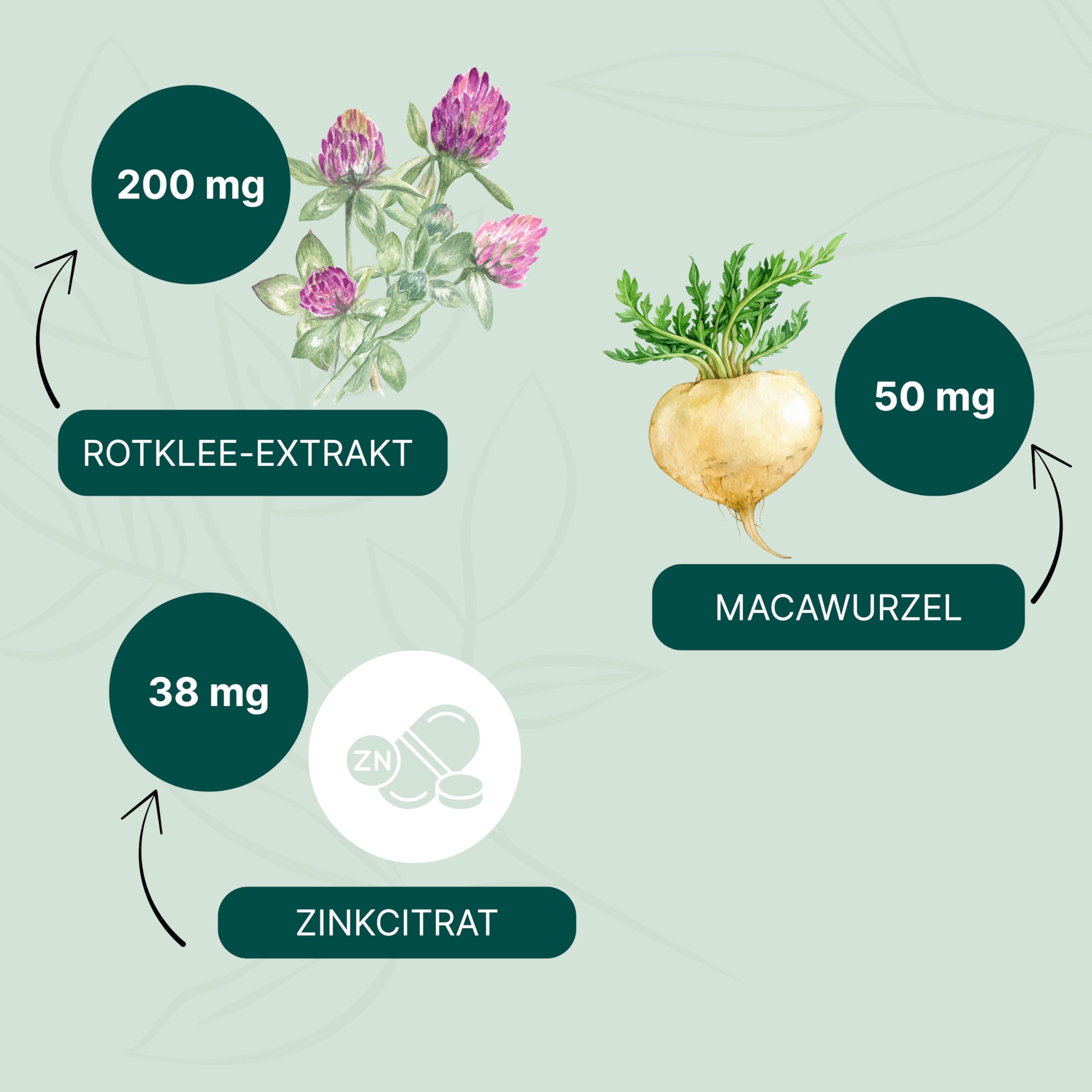 ESSENZ - Rotklee MenoFit 60 Kapseln - Natürliche Kapseln mit Rotklee-Extrakt & Maca-Wurzel-Pulver. Zur Unterstützung des Wohlbefindens in den Wechseljahren
