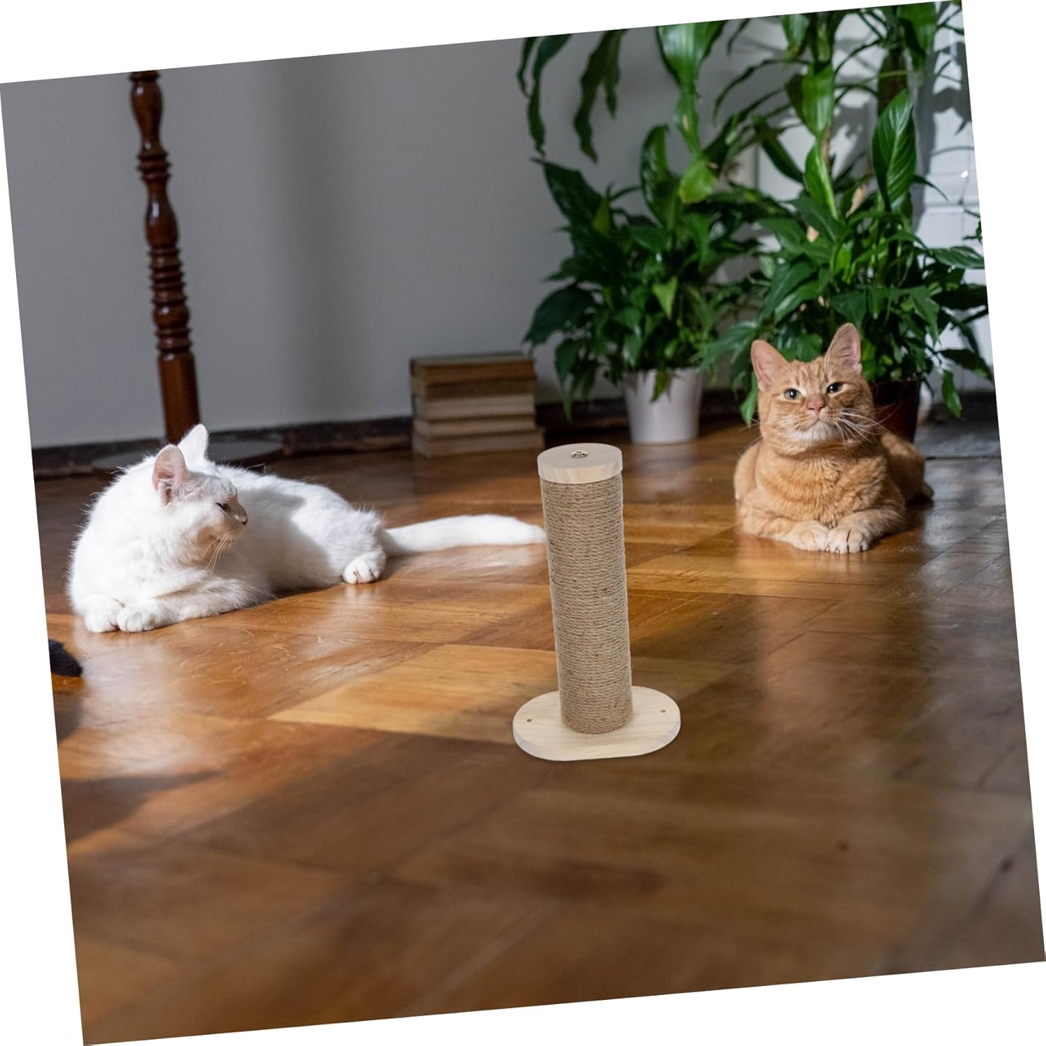 2pcs Cat Wall Furniture Step Wood Cat Climbing Post Wall-Mounted Perch for Household