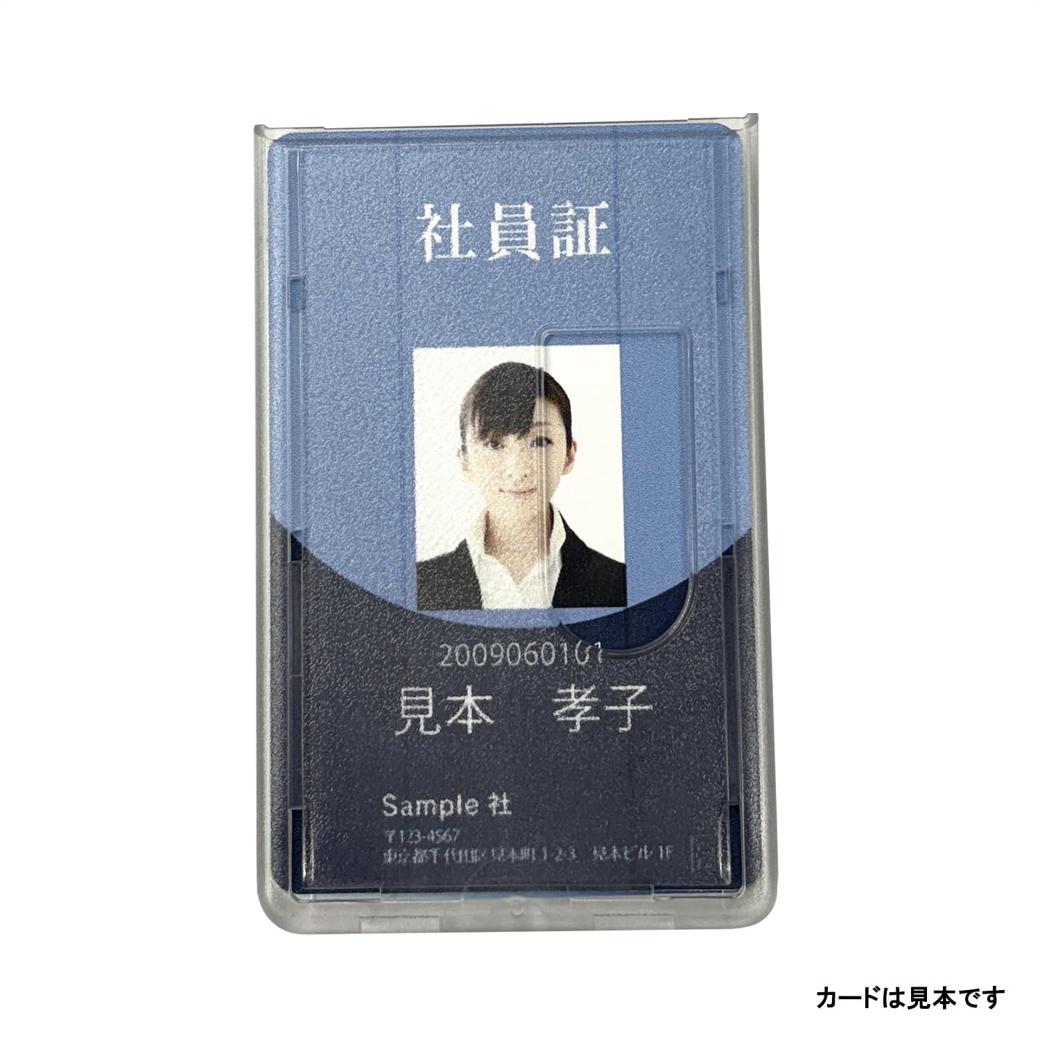 (まとめ) SEF ネームカードホルダー W130×D27×H196mm 75カード モカ×ライトグリーン SEFNCH-MLG 1冊 〔×10セット〕 ネームホルダー（財布・ケース｜バッグ・小物・ブランド雑貨