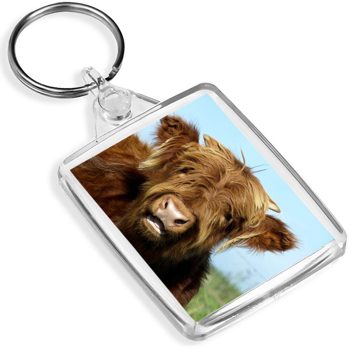 Destination Vinyl Keyrings Unisex Multi Ginger Highland Cow Keyring Cattle Funny Scotland Animal 8234