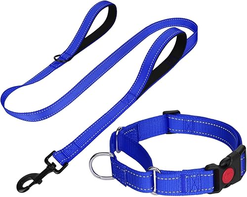 FunTags Collar Martingala reflectante para perros, hebilla de liberación rápida, correa acolchada de doble asa de 5 pies, juego de collar y correa