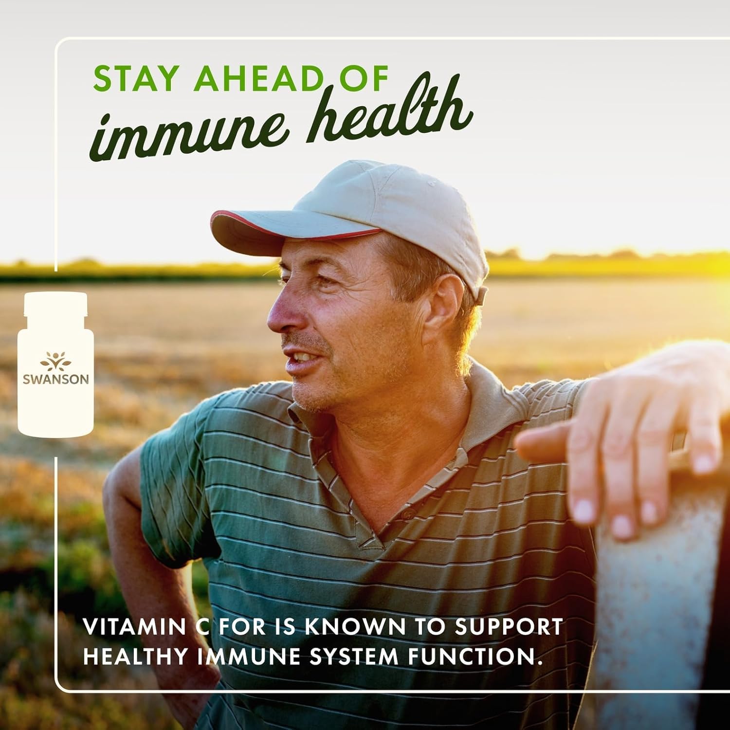 Swanson Timed-Release Vitamin C with Rose HIPS Immune System Support Skin Cardiovascular Health Antioxidant Supplement 1000 mg 250 Tablets (2 Pack)