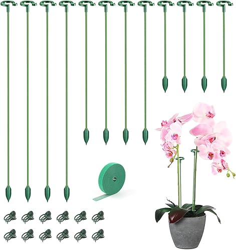Miniatura 1 de 30 estacas para plantas con anillos para plantas de interior, 14.5610.636.69 pulgadas, palos de soporte para plantas verdes de un solo tallo