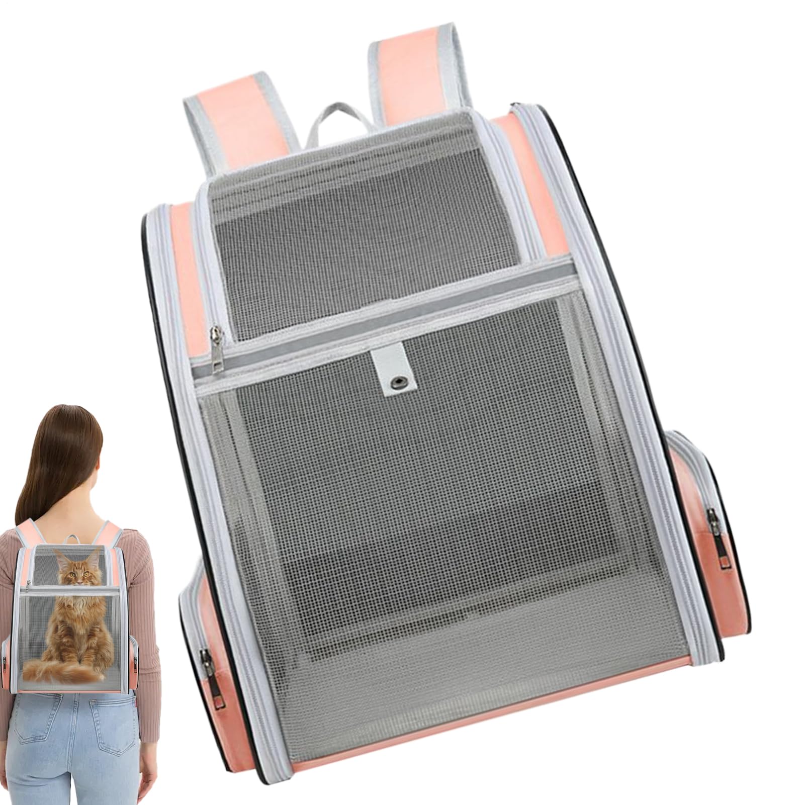 Sac à dos de transport pour animal domestique de petite taille à grande capacité