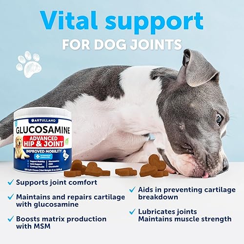 Miniatura 5 de Glucosamina para perros - Suplemento para cadera y articulaciones para perros con artritis - Masticables con condroitina, aceite de cáñamo, MSM -