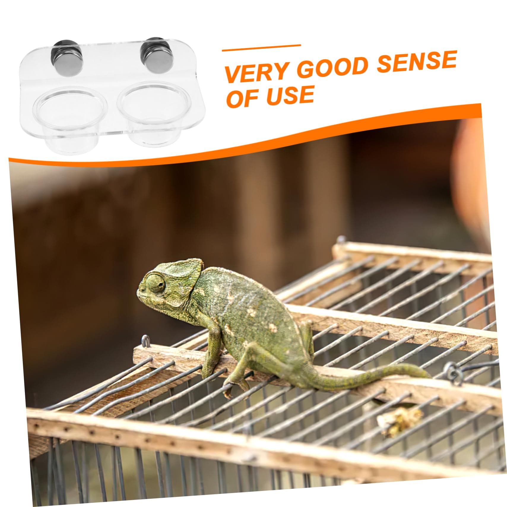 5juegos Comedero Magnético para Reptiles y Pequeños Animales Plato De Alimentación y Bebedero para Lagartos Serpientes y Tortugas Diseño Transparente y Duradero para Terrarios