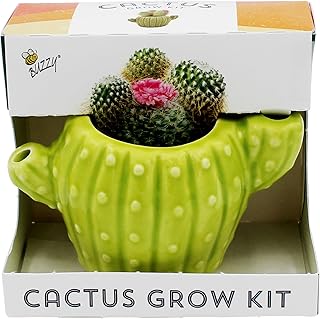 BUZZY Seeds 4pk Mini Cactus Grow Kit with Ceramic Planter, Succulent See...