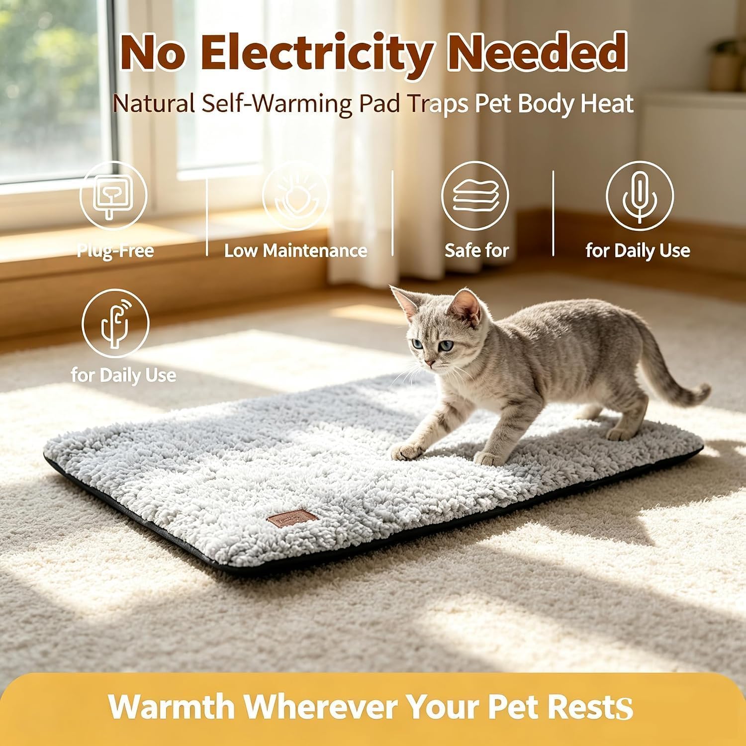 View 5