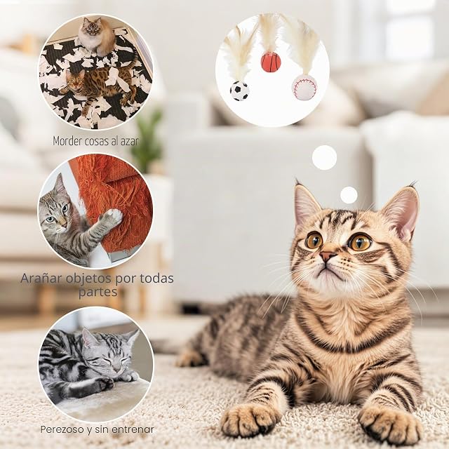 Foto 5 de 7 de Vlecexs 6 Bolas Goma con Plumas Entretenerse Juguetes Gatos Deportes Gatitos Salto Domésticas Juegos…